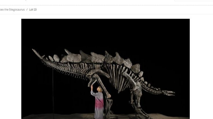 Griffin, il re degli hedge fund, si regala un dinosauro da record: 45 milioni di dollari per un fossile di 150 milioni di anni
