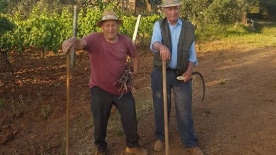 Quei due giovanotti ottantenni custodi del Ciliegiolo 