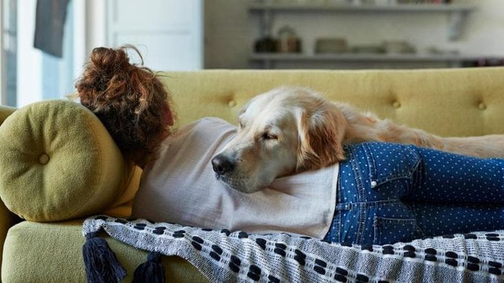 Petcare, maggior empatia e capacità di ascolto tra i bambini che si relazionano con gli animali