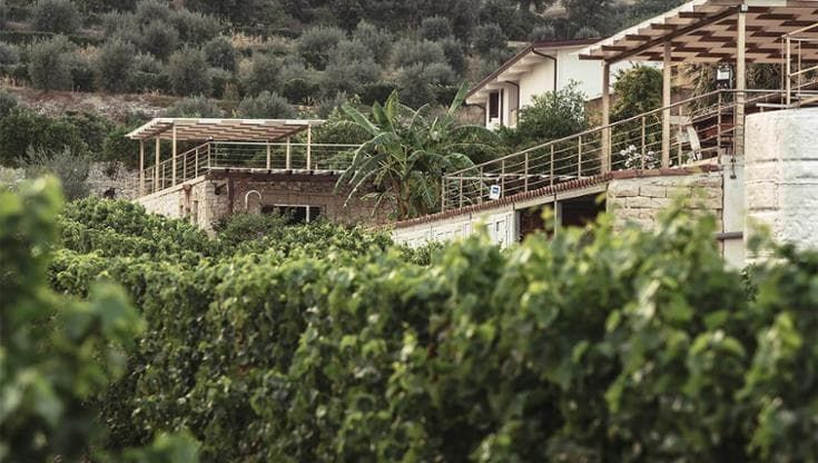 Dalle Alpi alla Sicilia, Ueli ed Erika cambiano vita nel segno del vino (e dell’amore)