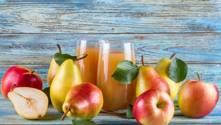Agroindustria, Fruttagel ancora in crescita: fatturato 2021 a 132,3 milioni di euro (+2,6%)