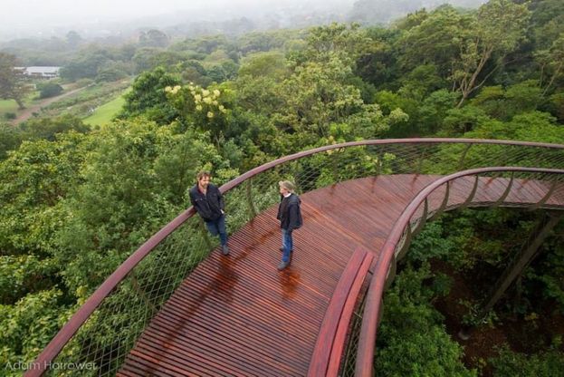 Città del Capo, la pedana dove è possibile passeggiare sulla cima degli alberi