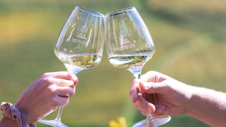 Val di Cembra, alla scoperta del vino che racconta la montagna eroica