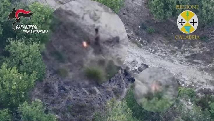 Incendio a Filandari, allevatore colto in flagrante da un drone: arrestato