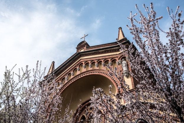 Torino, in un angolino del centro è già sbocciata una super primavera