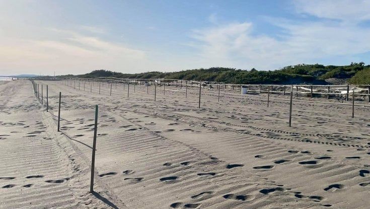 Le cinque vele blu di Legambiente e Touring premiano isole e spiagge toscane 