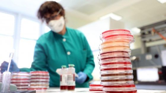 Coronavirus, la Regione tranquillizza: "Nessun allarme in Emilia-Romagna"
