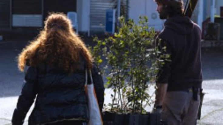 Nuovo stadio della Roma, alberi piantati a Pietralata: la protesta ‘green’ di Di Battista
