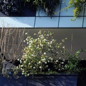 Lavori in casa, dal 22 aprile niente più burocrazia