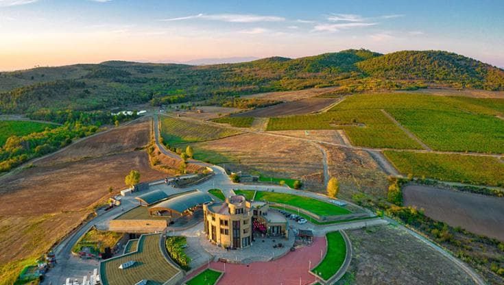 Tra i filari della Tracia, dove nasce il vino con cui Ulisse stordì Polifemo