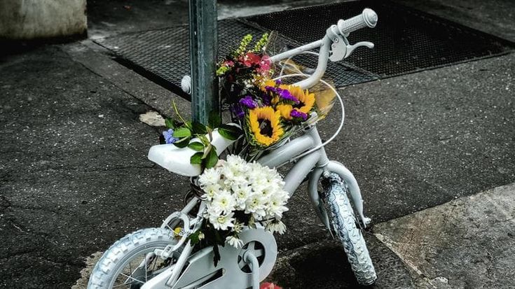 A Torino oltre 4mila incidenti l’anno: ogni giorno un ciclista viene ferito