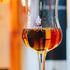 Viaggio tra i profumi della grappa: ecco le migliori distillerie d’Italia pronte ad accogliervi