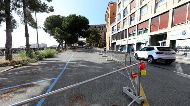 I cento giorni dei pini sequestrati in corso Podestà: la Procura indaga, Tursi attende