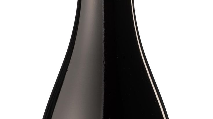 Questo elegante Pinot nero è un campione