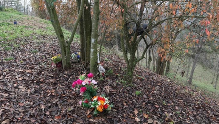 Il caso del cimitero spontaneo a San Luca. “Ecco le regole per disperdere le ceneri dei propri cari”