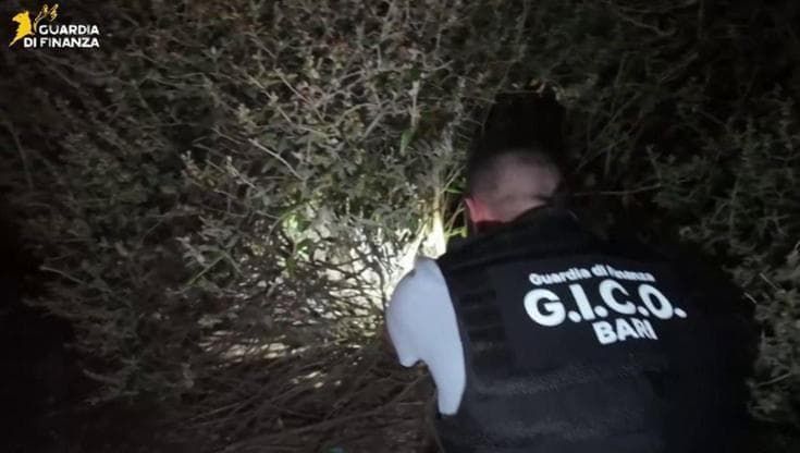 Si pente luogotenente dei Parisi, trema il clan: droga a domicilio con offerte del giorno