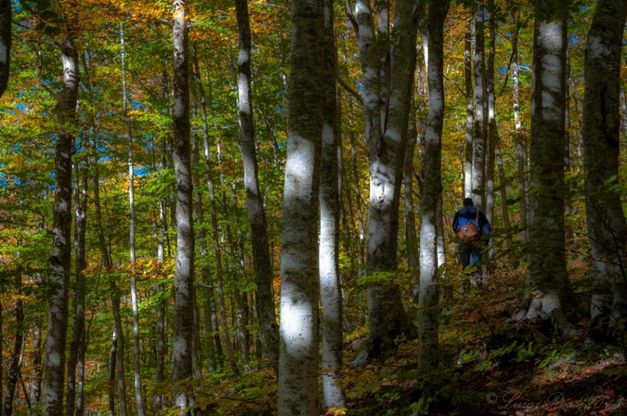 Parco regionale del Matese, tutte le sfumature dell’autunno