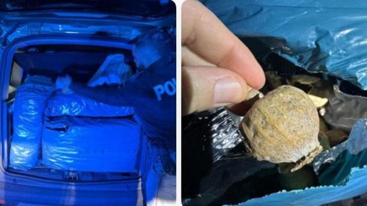 In manette il grossista dei bulbi d’oppio per i Sikh che lavorano nei campi dell’agro pontino