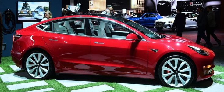 Arriva la "piccola" Tesla: a febbraio in Italia con prezzi da 59.600 euro in su