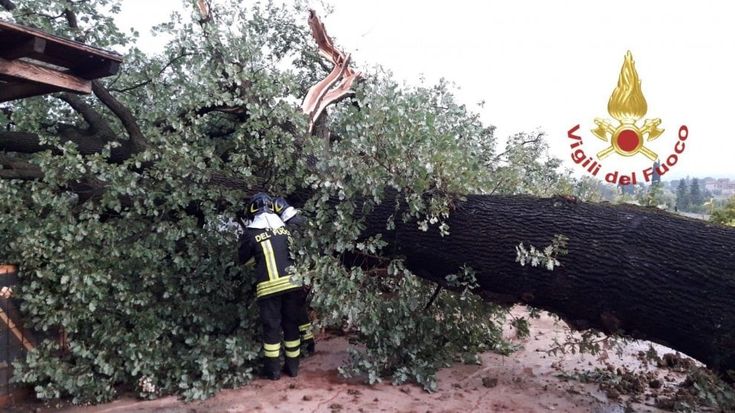 Maltempo in Toscana, cade quercia secolare e distrugge un camper