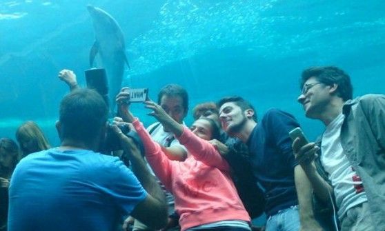 Instatour, questa<em> #genovamore</em> &egrave; bellissima e va subito condivisa