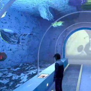L'Acquario di Roma si farà: "Ripartiti i lavori, aprirà in primavera"
