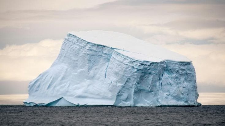L'allarme dei ricercatori: aumenta il numero di iceberg nel mondo. La paura dell’effetto Titanic