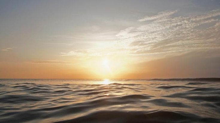 Blue Economy, tre progetti per salvaguardare gli oceani premiati a Montecarlo