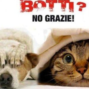 Wwf: ''Stop ai botti di Capodanno: gli animali rischiano la vita''