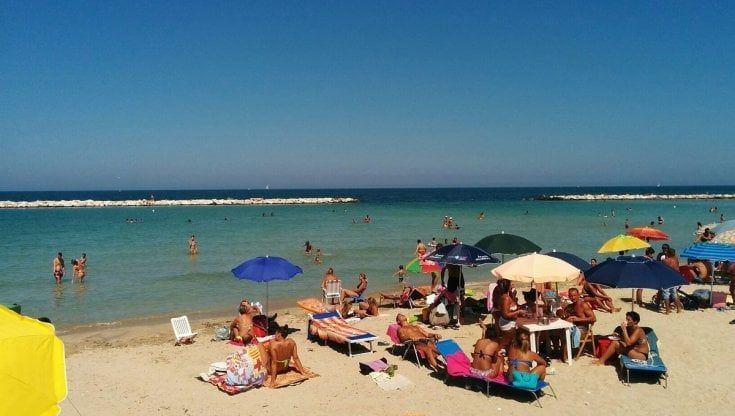 Puglia, arretra l'alga tossica: solo due bollini rossi a san Giorgio e Molfetta. Riaperta la balneazione a Pane e pomodoro