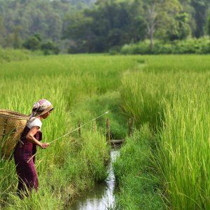 Punjab, protesta degli agricoltori nel "granaio dell'India": bloccati 880 treni