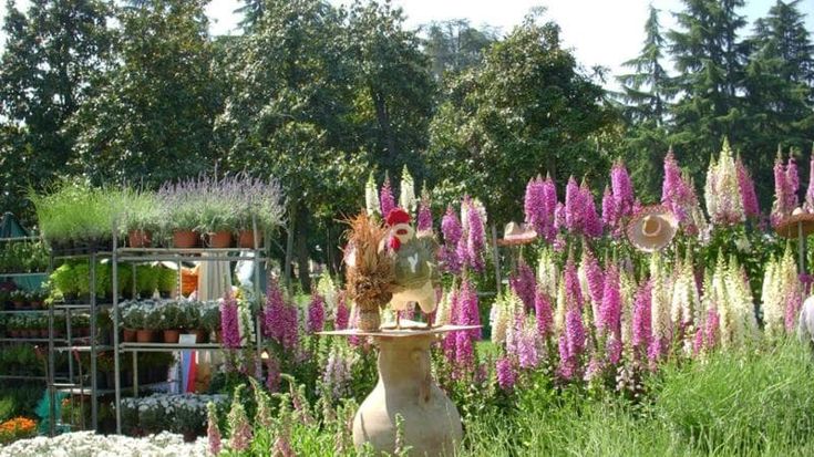 Dai bonsai alle rose antiche, torna Giardini&Terrazzi