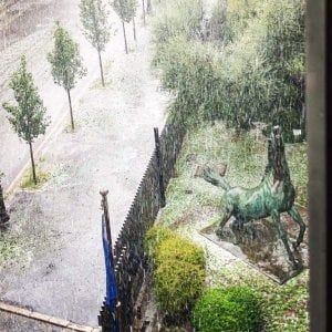 "La Rai responsabile della Regalopoli, nessuna colpa dei singoli dirigenti"