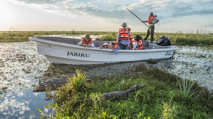 Iberá, l’Argentina sull’acqua: il grande viaggio nelle wetland di Corrientes