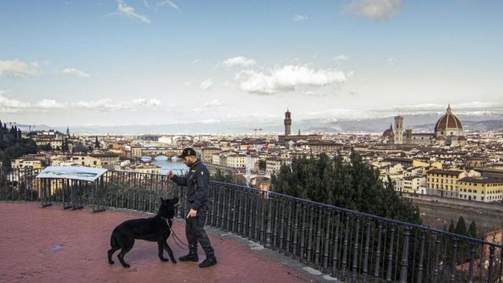 Addio al cane Geremy della Guardia di finanza di Firenze: "Hai lasciato un segno indelebile"
