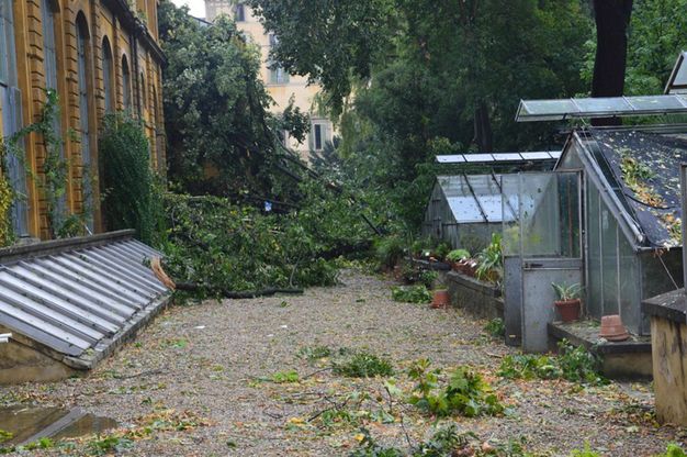 Grandine su Firenze, danni all'Orto Botanico