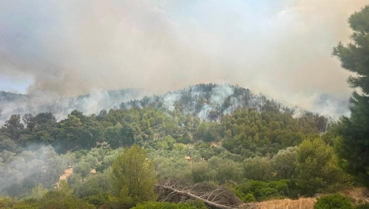 Gargano, fiamme domate ma resta allarme. Turisti rientrati nelle strutture dopo la notte fuori
