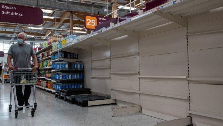 Maialini soppressi, tacchini dalla Francia, "tedeschi aiutateci": il Regno Unito e i rischi del dopo Brexit e Covid
