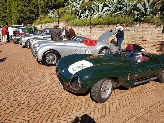 Raduno Jaguar, che passione