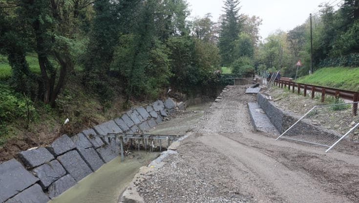 Messa in sicurezza del Ravone, i comitati: “Ora serve un cronoprogramma degli interventi”