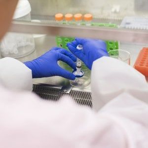 Sla, una speranza dalla ricerca: bloccata con iniezioni nel midollo spinale dei topi