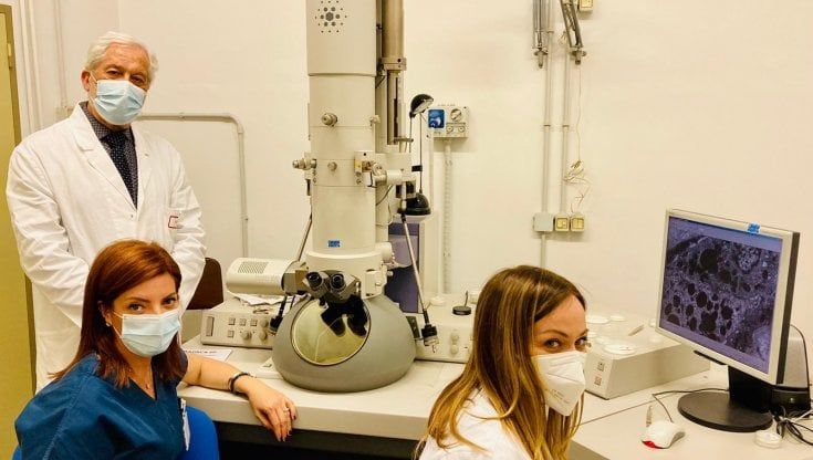 "Così il Covid non passa dalla mamma al feto": la ricerca su 90 gestanti svela i meccanismi di protezione