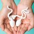 Ecco come l’ambiente uccide gli spermatozoi: la fertilità cambia a seconda di dove si vive