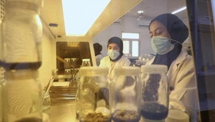 In Iraq ora le palme da dattero crescono in laboratorio per resistere al caldo