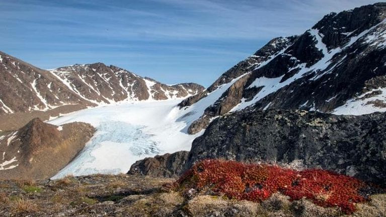 La Terra sotto pressione: sette dei sedici parametri vitali hanno raggiunto il limite