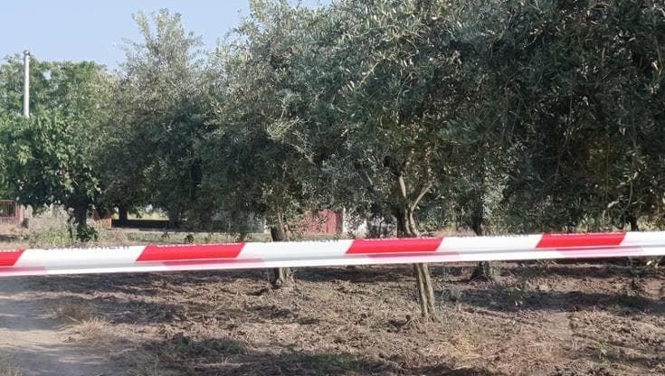 Studente ferito alla testa a Torremaggiore, trovata la pistola: era vicino al corpo. È ancora grave