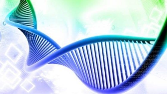 Un solo farmaco target per molti tumori diversi