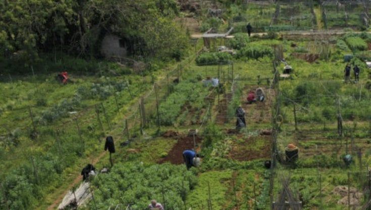 Villa Bordonaro, 300 nuovi soci degli "Orti delle Fate"