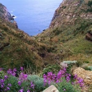 Andar per sentieri: sette giorni alla scoperta di Ischia