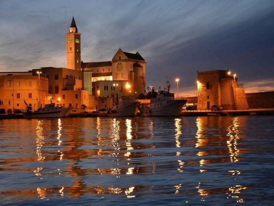 Mare, saline e cattedrali: gli scatti sui tesori della Bat